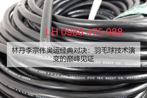 林丹李宗伟奥运经典对决：羽毛球技术演变的巅峰见证